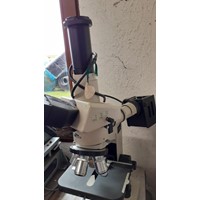 Microscope NIKON (Optihot) × 400